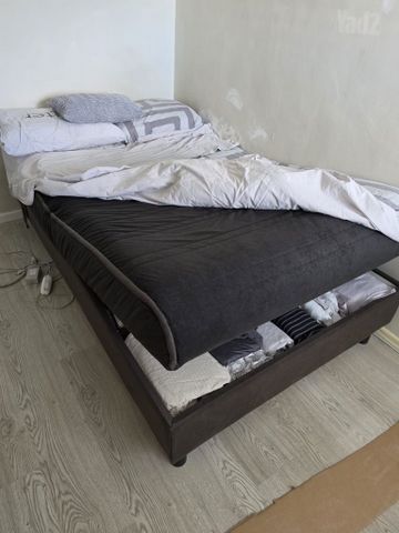 מיטה