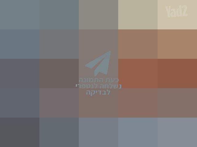 כינור צרפתי מקצועי