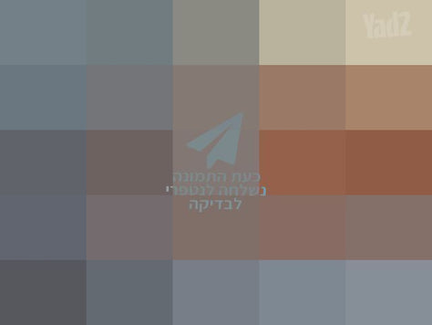 כינור צרפתי מקצועי