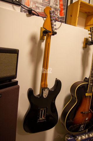 Fender Stratocaster 1979 vin