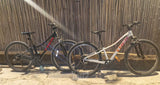 אופני הרים TREK  24