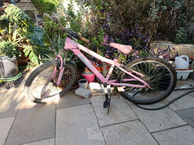 אופניים  מידה 26  20