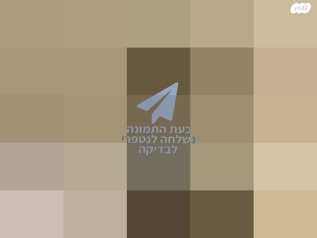 פטיפון