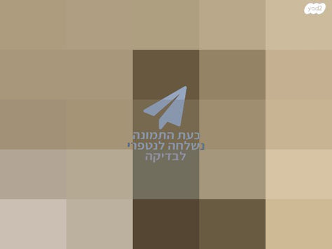 פטיפון