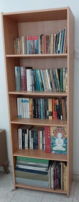 ספרייה מבית IKEA