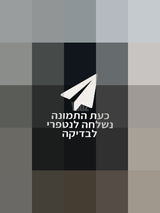 דונה X