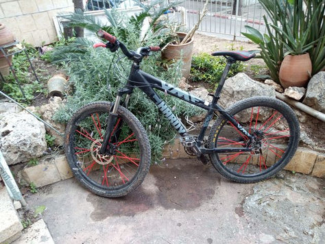 אופני הרים