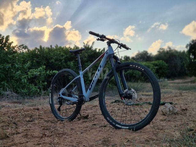 אופני שטח giant