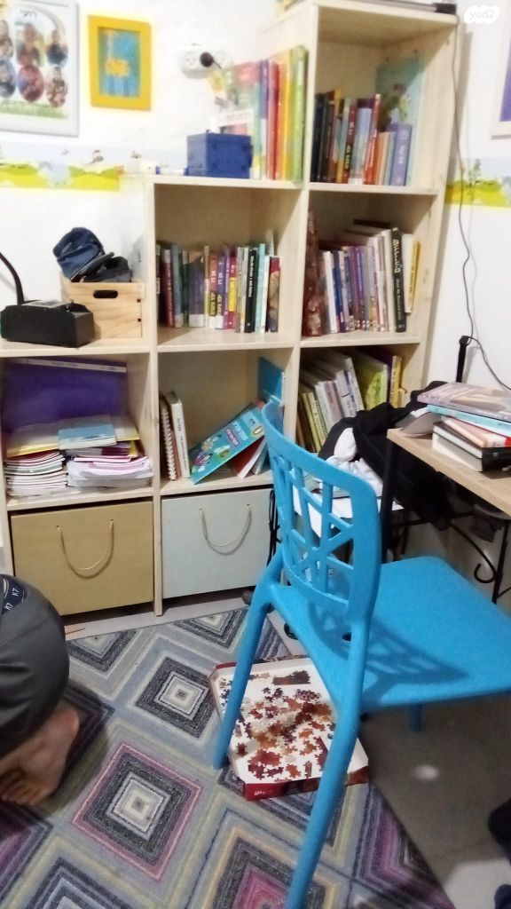 כוורת עץ מלא