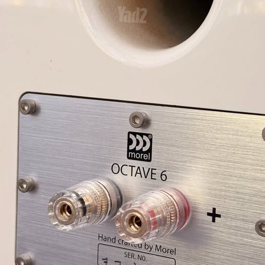 Morel Octave 6 Limited Edition