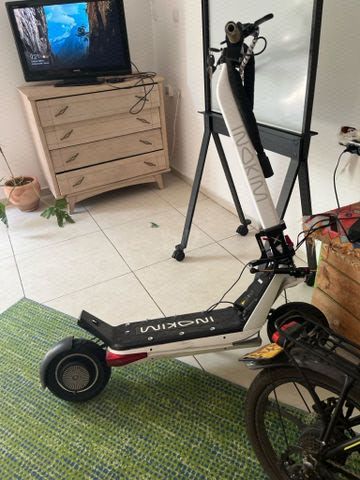 אינוקים ox 2025