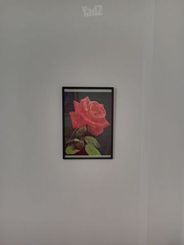 אוסף תמונות וינטאז