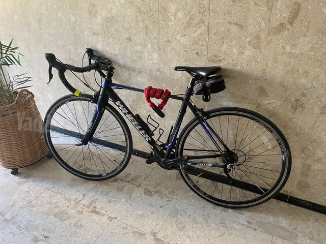 אופני כביש WHEELER
