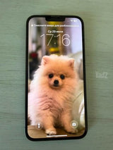 Iphone 13 pro max 256 ענ