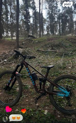 אופני  Marin Alpine Trail 1