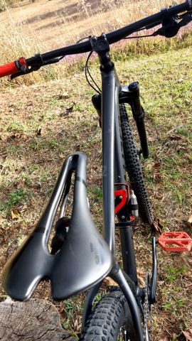 Specialized Rockhopper 29 M