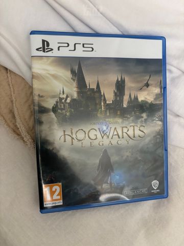 Hogwarts Legacy