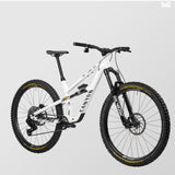 CANYON Spectral CLLCTV