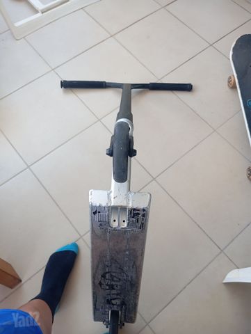 סקוט פעלולים