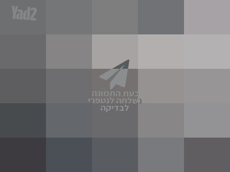 רדיאטור