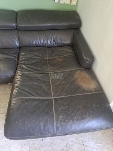 ספה מעור