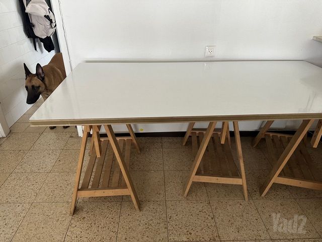 שולחן גזירה