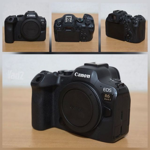 מצלמת קנון R6ii