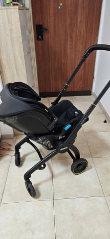 Dona x דונה x