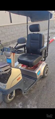 קלנועית