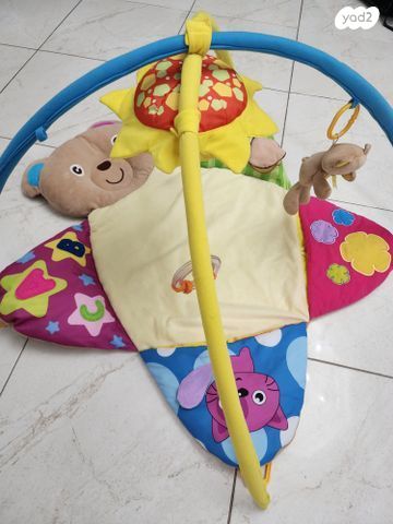 אוניברסיטה
