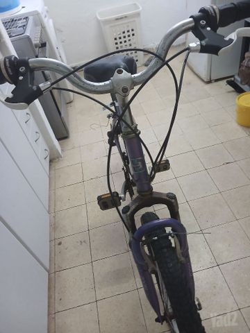 אופניים נשים