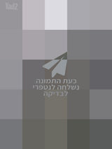 דלת אלומיניום