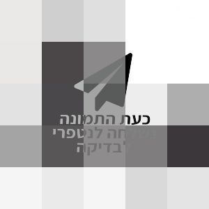 עגלה Silver Cross Reef 2