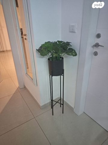 עציץ