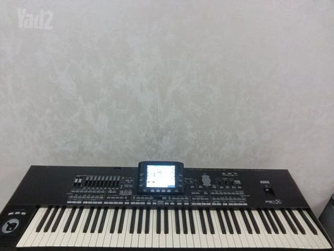 אורגן קורג pa3x