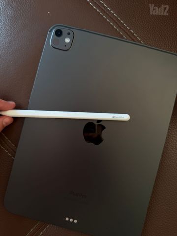 Ipad Pro 11 M4 256G