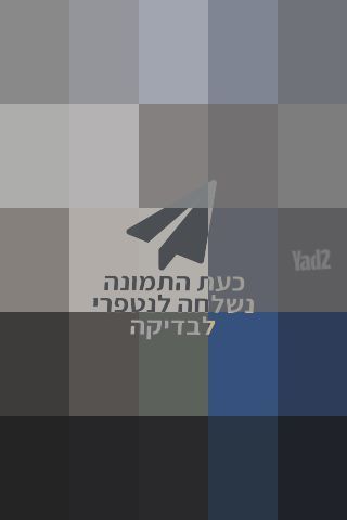 מולטי טריינר
