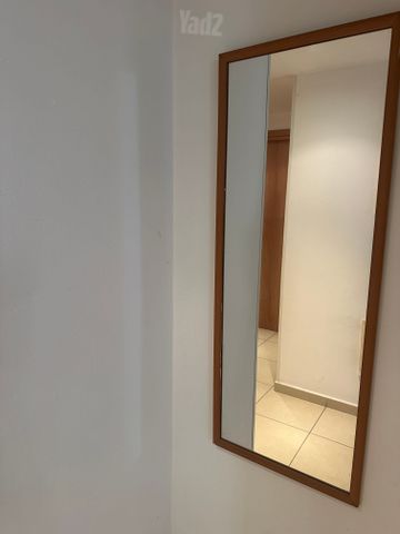 מראת גוף-קיר