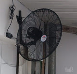 מונטה VENTA 26 כוח 1