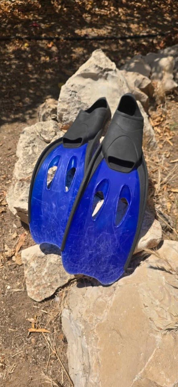 סנפירים