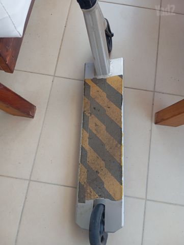 סקוט פעלולים