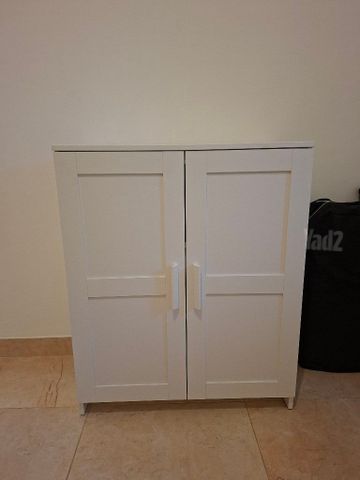 ארונית