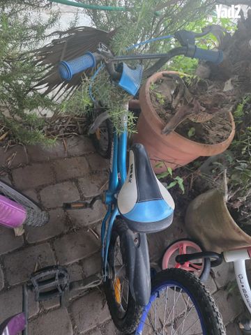 אופנים