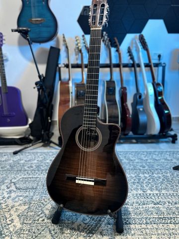 גיטרת Córdoba Fusion 12