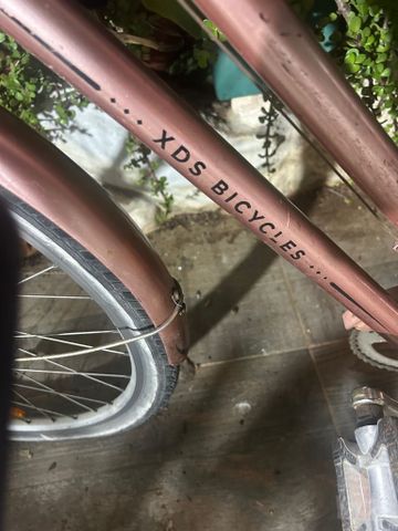 אופני DXL מידה 29