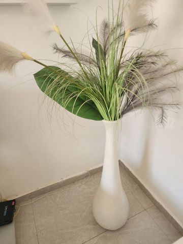 נוי לבית