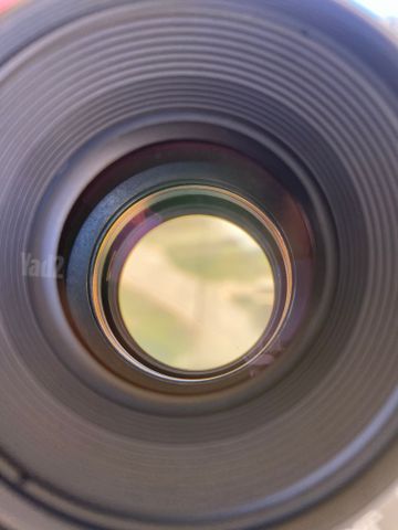 Canon EF 50mm f/1.4 USM