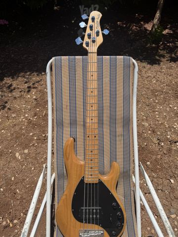 גיטרה בס Sterling ray 35