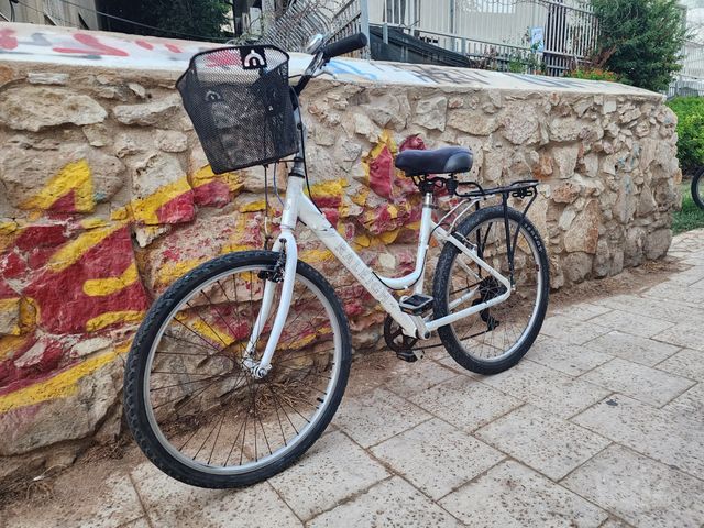 אופני עיר ראלי