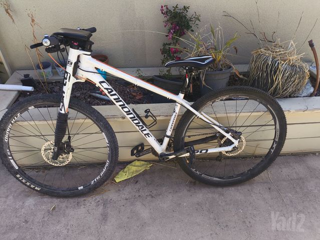 אופני Cannondale